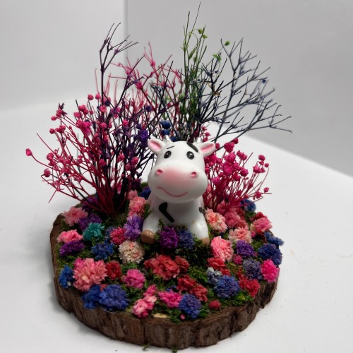 Sitting Cow Pink Pasture