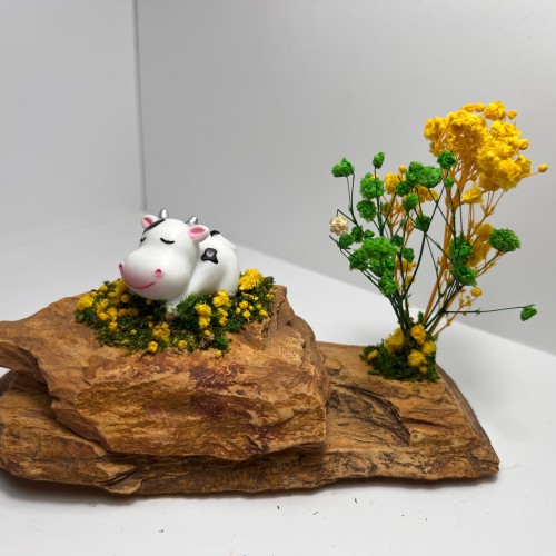 Sleeping Cow Mountaintop